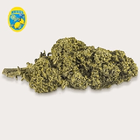 Lemon CBD > Xuxes